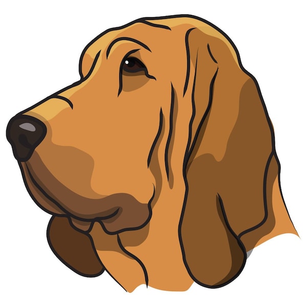 Bloodhound Dog Decal, Dog Lover Decor Vinyl Sticker